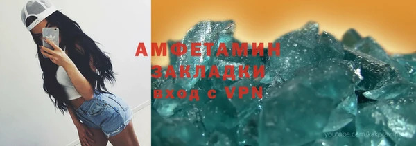 прущие грибы Вязьма